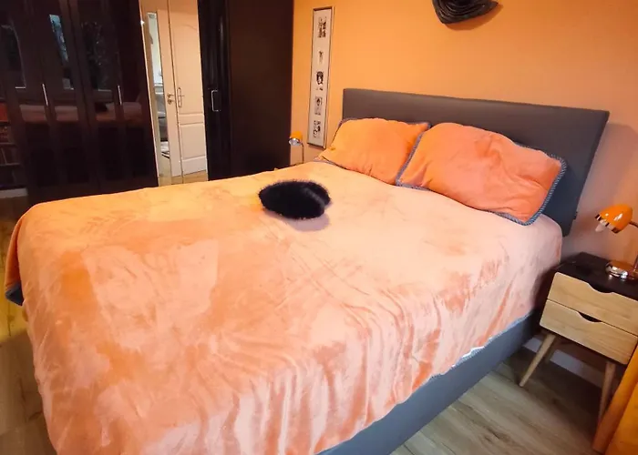 Ferienwohnung Cologne * Kolín nad Rýnem